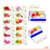 Lịch Để Bàn 2027 MT Mẫu MT49 (24 x 17cm) Quà Tết Truyền Thống Gốm Sứ & Lịch in logo doanh nghiệp quà tặng Tết tại Gốm Sứ Bát Tràng & Quà Tết